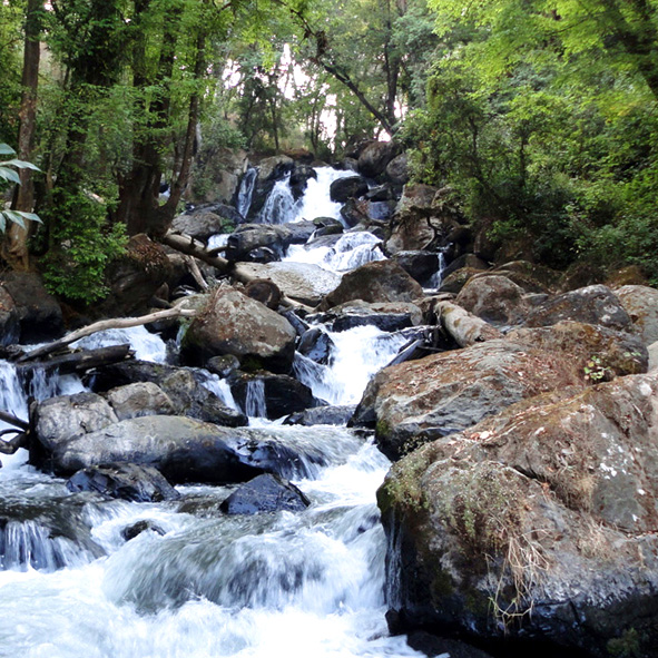 Explora las cascadas y bosques en Valle de Bravo